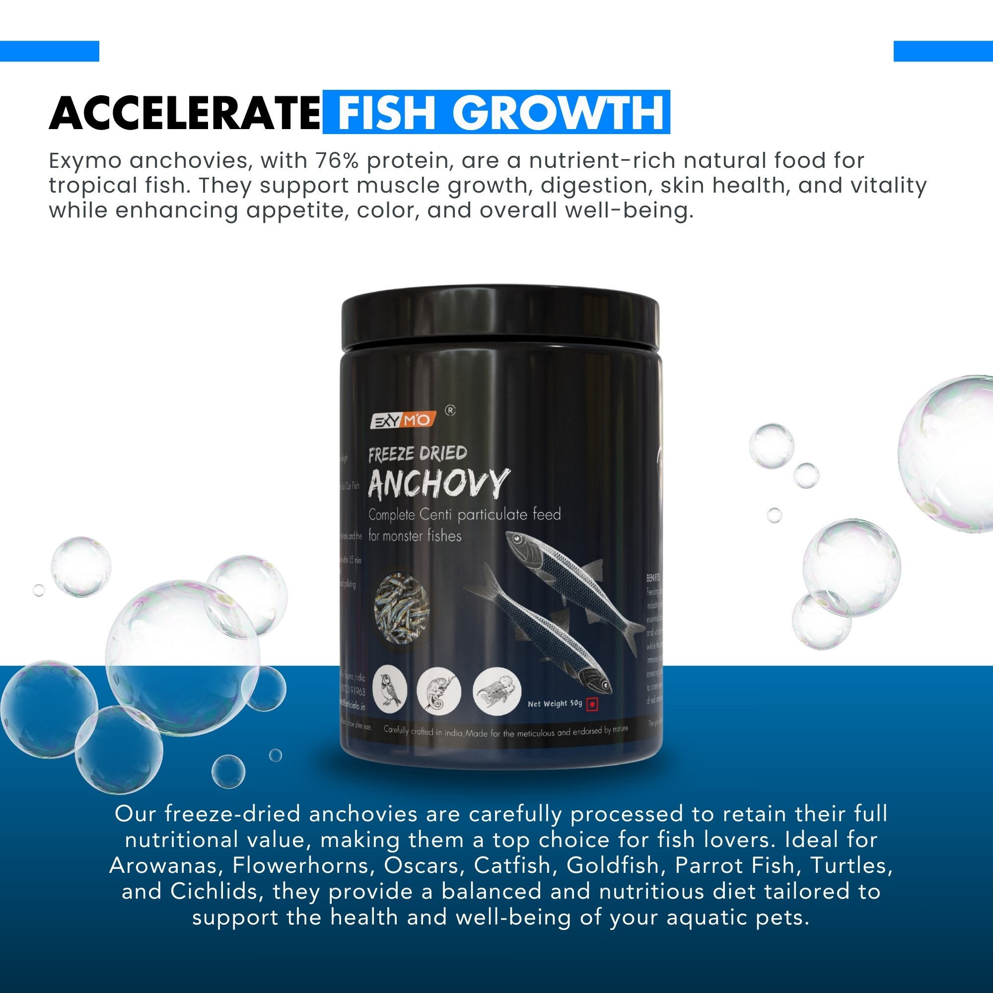 DRIED ANCHOVY 50g - Image 5