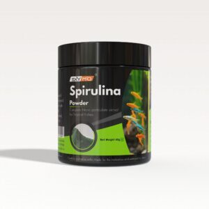 spirulina-powder-fish-feed-60g